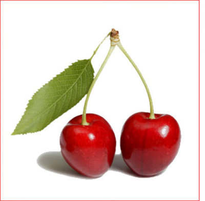 ����� ���� ����� ������� Prunus aviumO.jpg